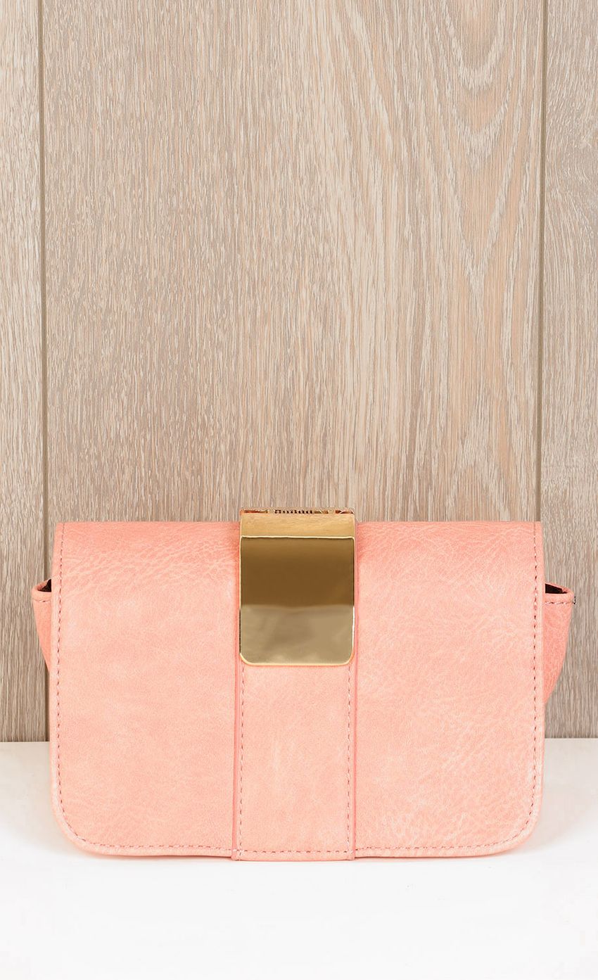 Picture TELL YOU OFTEN CLUTCH IN PINK. Source: https://media-img.lucyinthesky.com/data/Nov14_2/850xAUTO/0Y5A2962.JPG
