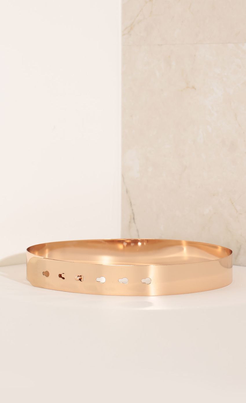 Picture Plated Statement Belt In Gold. Source: https://media-img.lucyinthesky.com/data/Nov15_2/850xAUTO/0Y5A3046.JPG