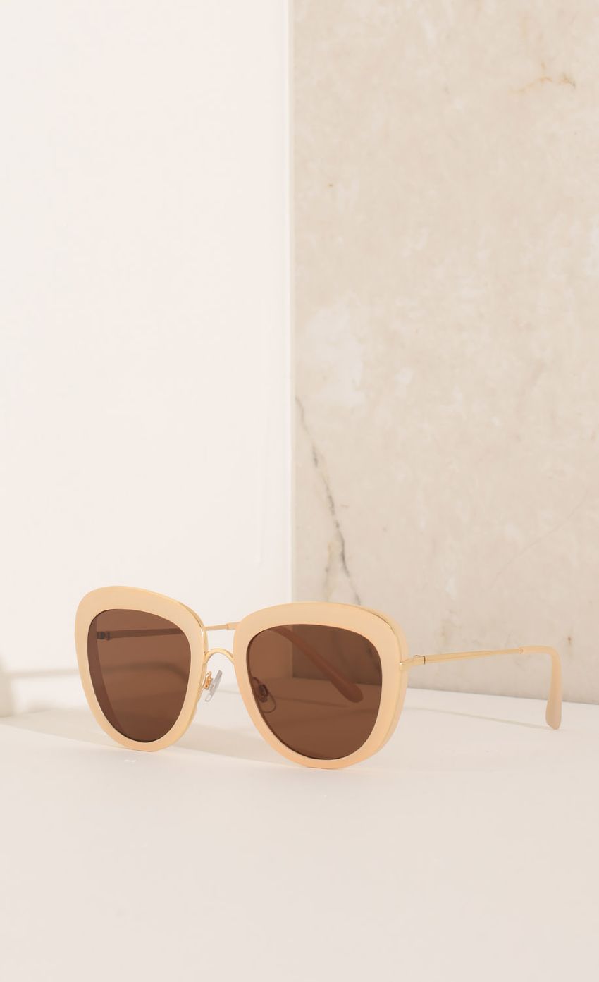 Picture Classic Sunglasses In Nude. Source: https://media-img.lucyinthesky.com/data/Nov15_2/850xAUTO/0Y5A3069.JPG