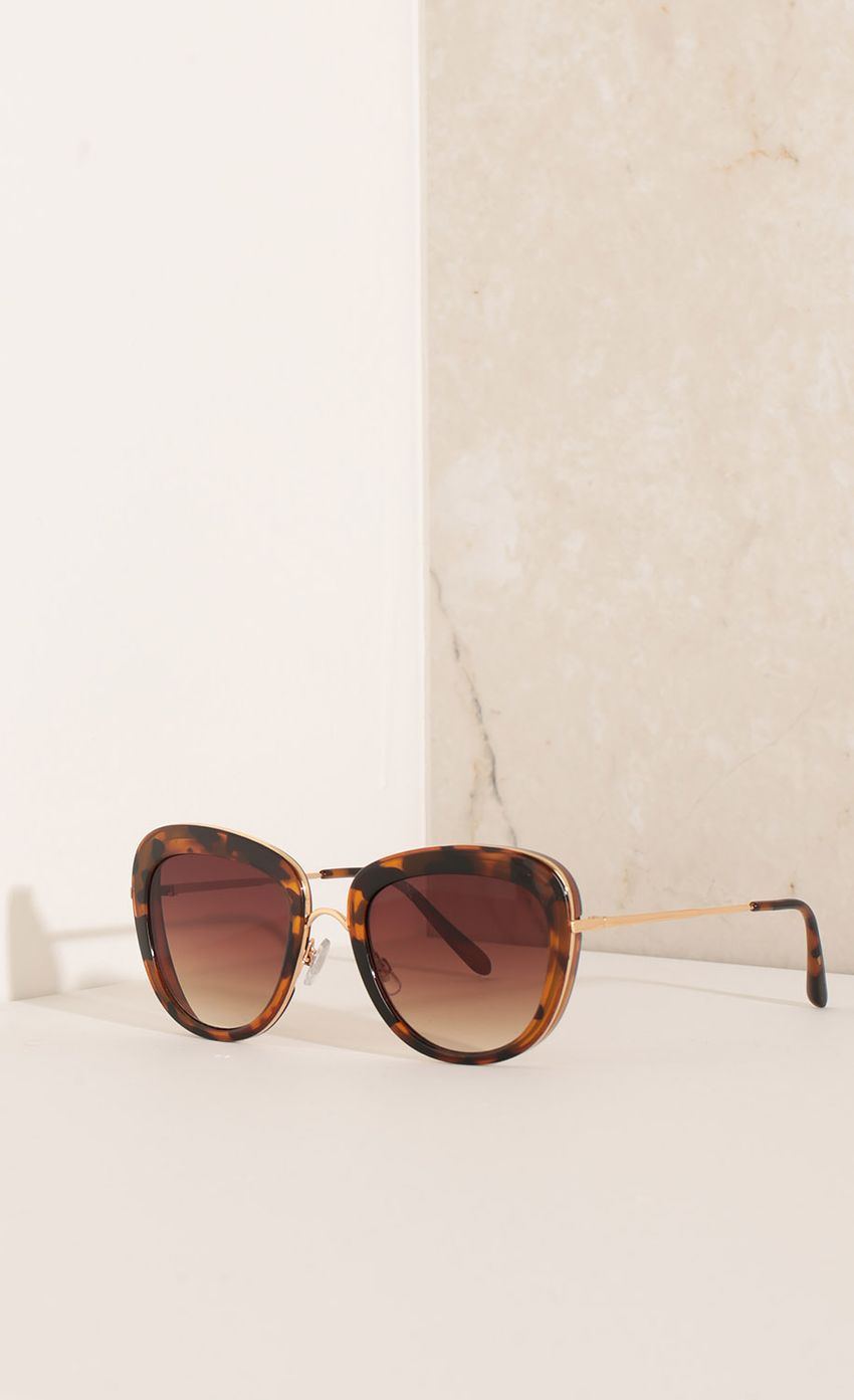 Picture Classic Sunglasses In Cheetah. Source: https://media-img.lucyinthesky.com/data/Nov15_2/850xAUTO/0Y5A3079.JPG
