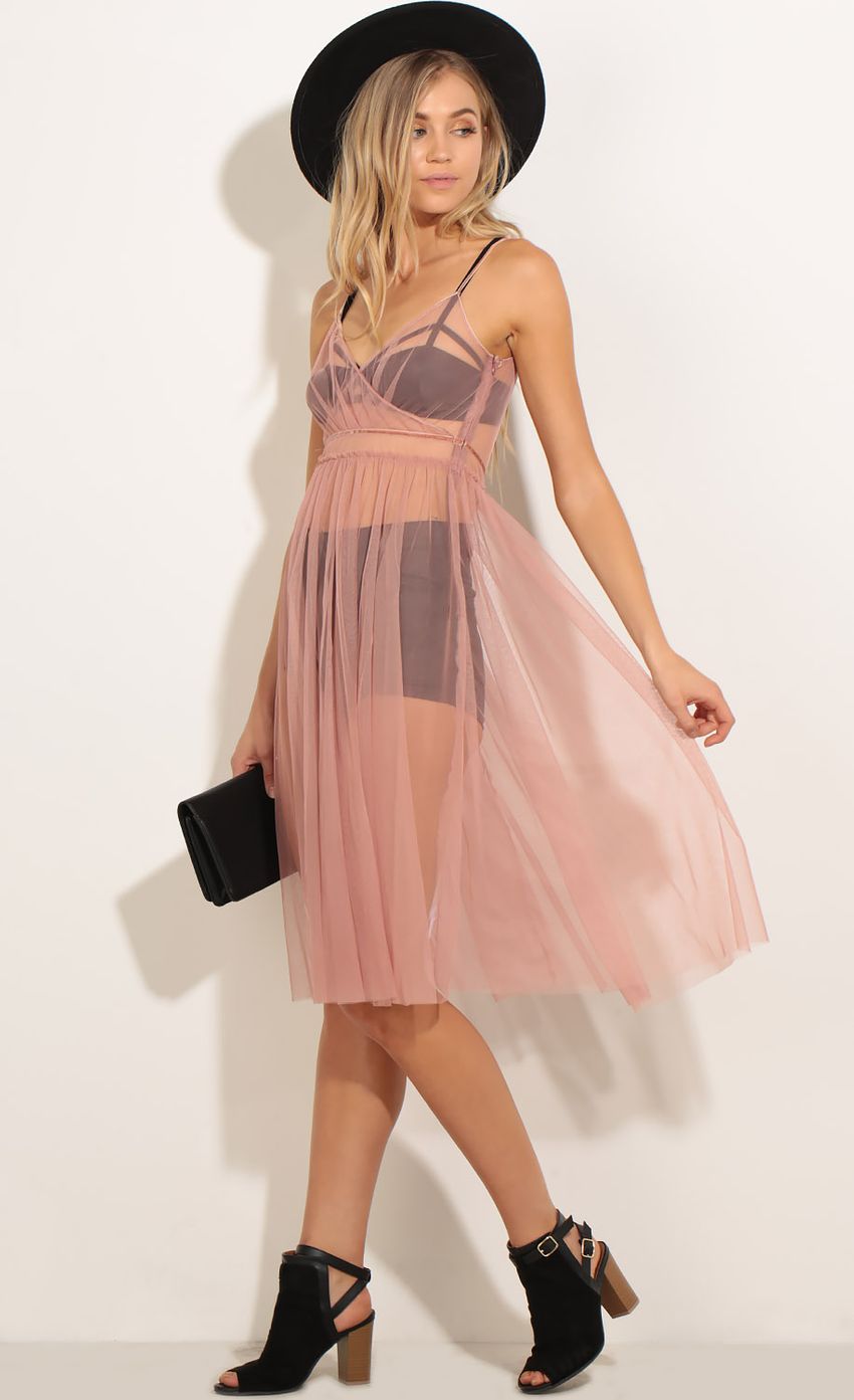 Picture Sheer Tulle Dress In Pink. Source: https://media-img.lucyinthesky.com/data/Nov16_1/850xAUTO/0Y5A1898.JPG