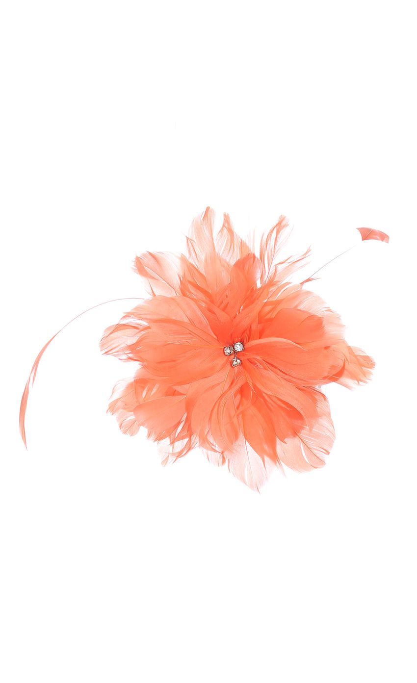Picture LOVELY LADY HAIR CLIP IN ORANGE. Source: https://media-img.lucyinthesky.com/data/Oct14_2/850xAUTO/0Y5A8893.JPG