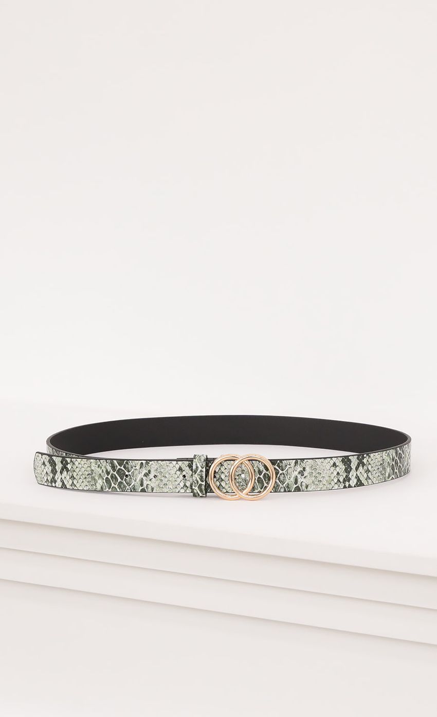 Picture Olive Snakeskin Belt. Source: https://media-img.lucyinthesky.com/data/Oct20_1/850xAUTO/1V9A3229.JPG