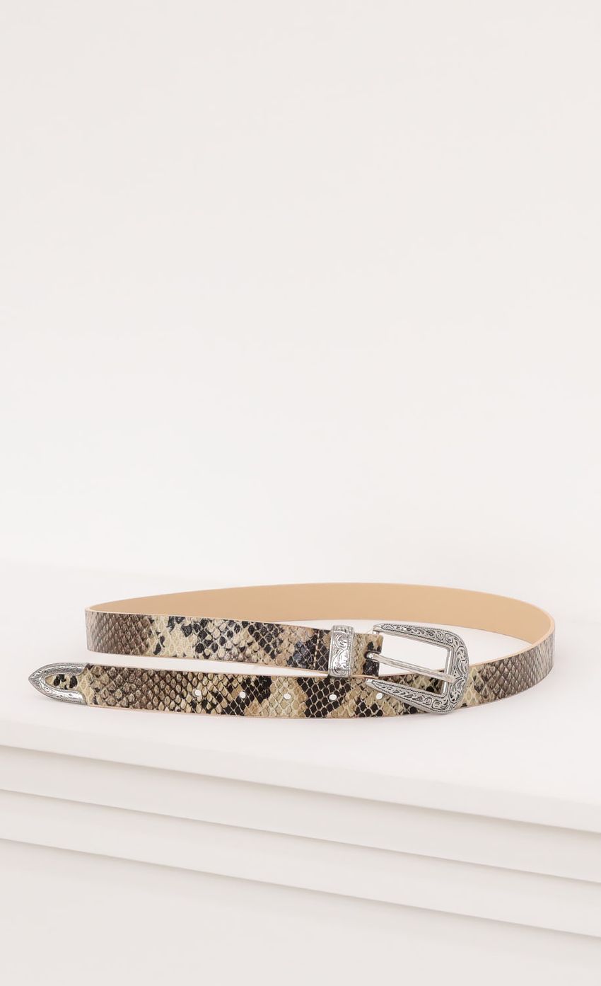 Picture Western Belt in Brown Snakeskin. Source: https://media-img.lucyinthesky.com/data/Oct20_1/850xAUTO/1V9A3233.JPG