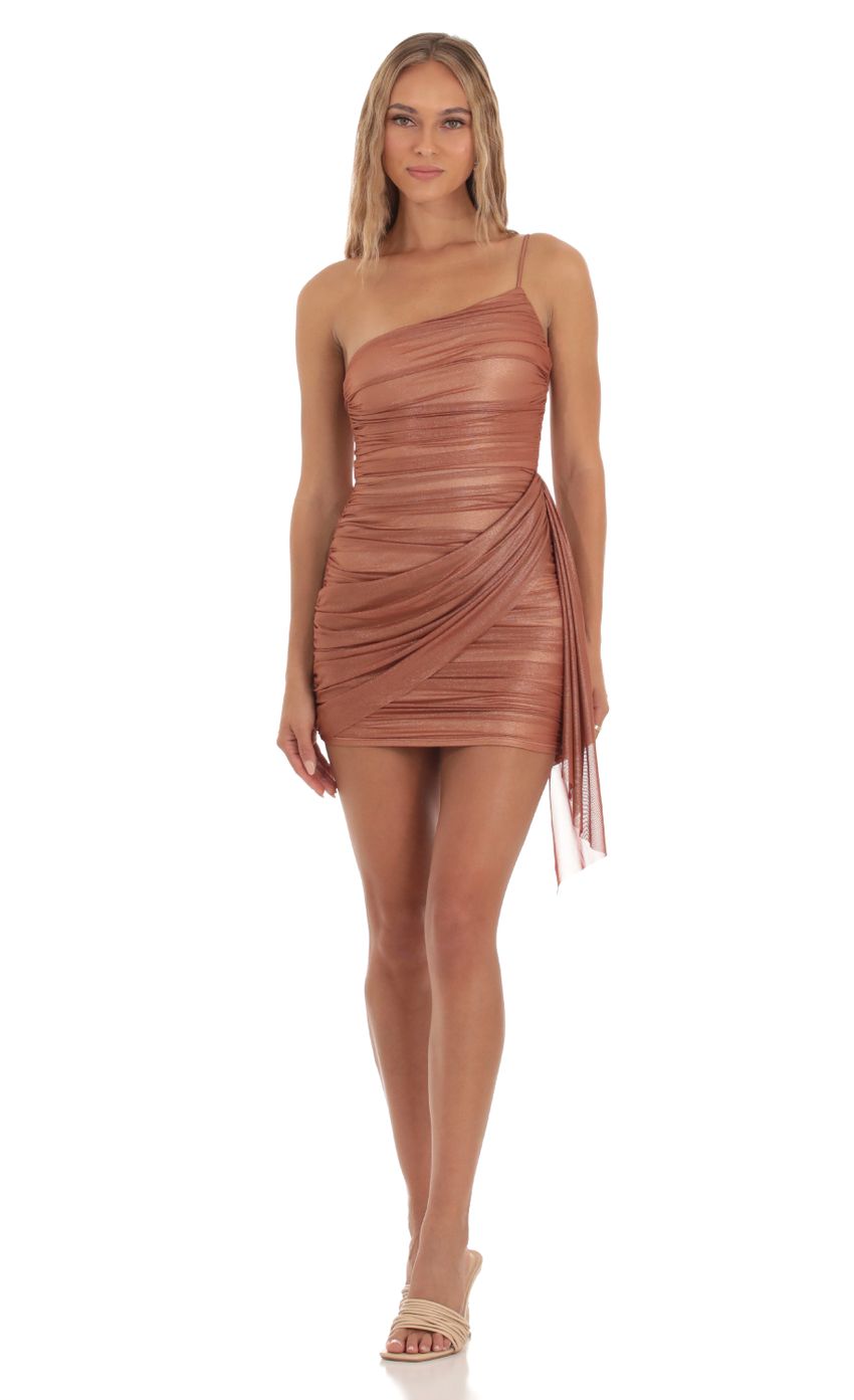 Picture Mesh Tassel Mini Dress in Copper. Source: https://media-img.lucyinthesky.com/data/Oct23/850xAUTO/2254f130-25c4-454f-bfb3-ee63372fcec3.jpg