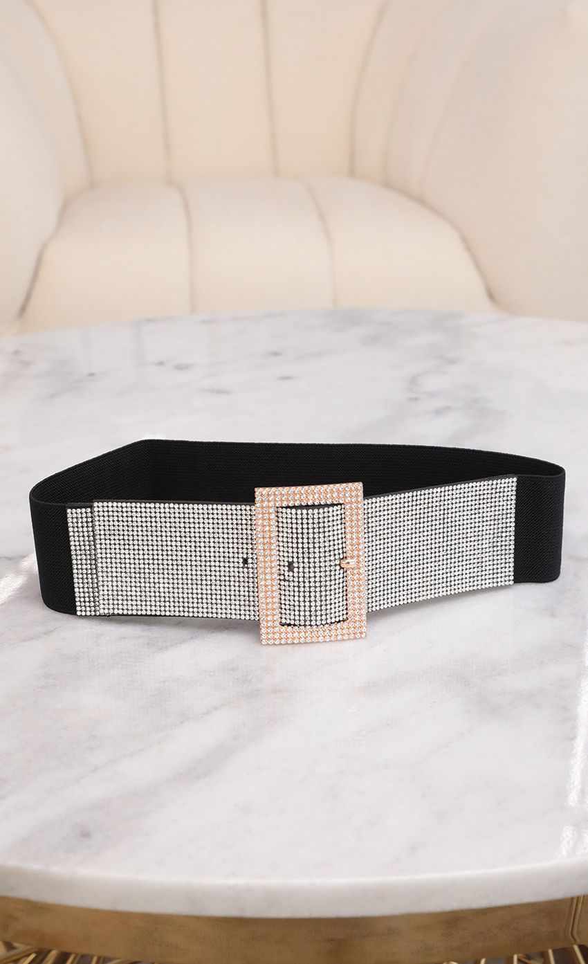 Picture Showstopper Belt. Source: https://media-img.lucyinthesky.com/data/Sep20_2/850xAUTO/781A3199.JPG