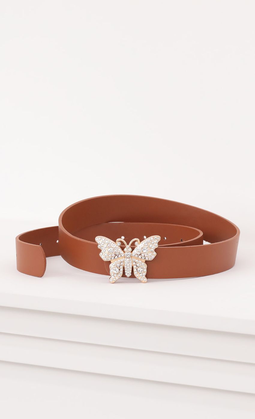 Picture The Metamorphosis Belt in Brown. Source: https://media-img.lucyinthesky.com/data/Sep20_2/850xAUTO/781A3257.JPG