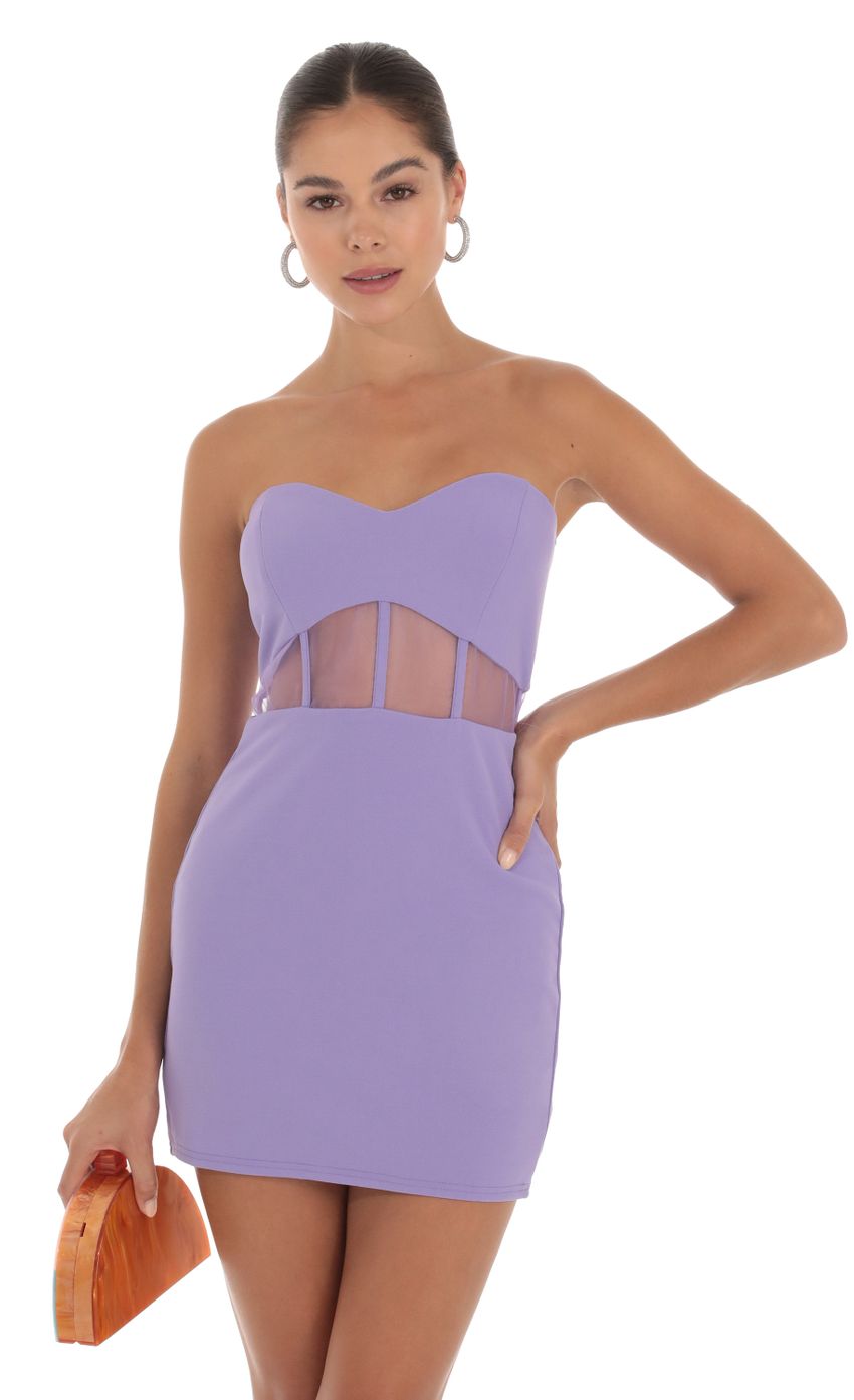 Picture Mesh Cutout Bodycon Dress in Purple. Source: https://media-img.lucyinthesky.com/data/Sep23/850xAUTO/64c2e9a3-af01-4f7d-9dc6-899f18b06acb.jpg