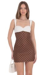 Product image for Two-Tone Polka Dot Mesh Bodycon Dress in Brown
