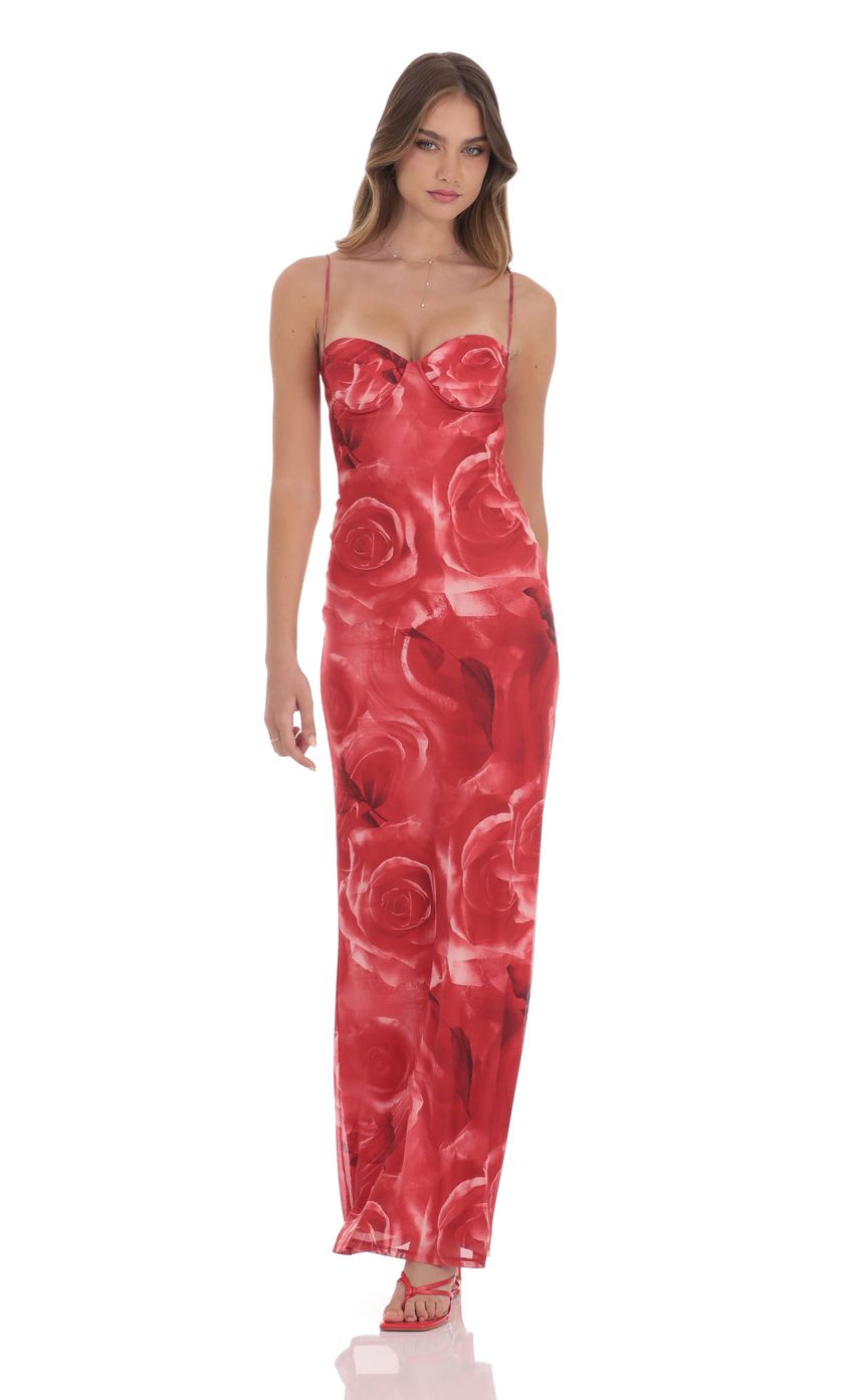 Picture Rose Open Back Mesh Maxi Dress in Red. Source: https://media-img.lucyinthesky.com/data/product-media/850xAUTO/38860469-d696-462b-bbd3-c6f03dd6dc8c.jpg