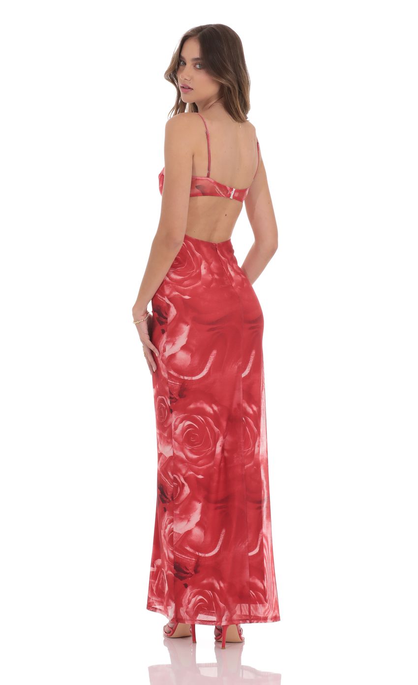 Picture Rose Open Back Mesh Maxi Dress in Red. Source: https://media-img.lucyinthesky.com/data/product-media/850xAUTO/944e9ed5-e9bc-4c61-8e47-0ec9241011d3.jpg