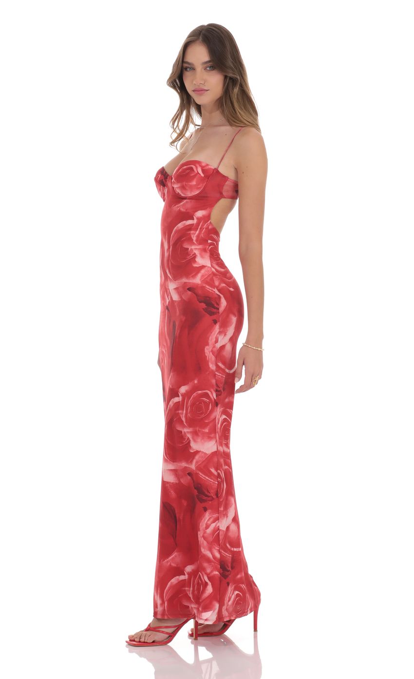 Picture Rose Open Back Mesh Maxi Dress in Red. Source: https://media-img.lucyinthesky.com/data/product-media/850xAUTO/e1351b2f-a1b2-424e-aa7b-3e4ee28472d9.jpg